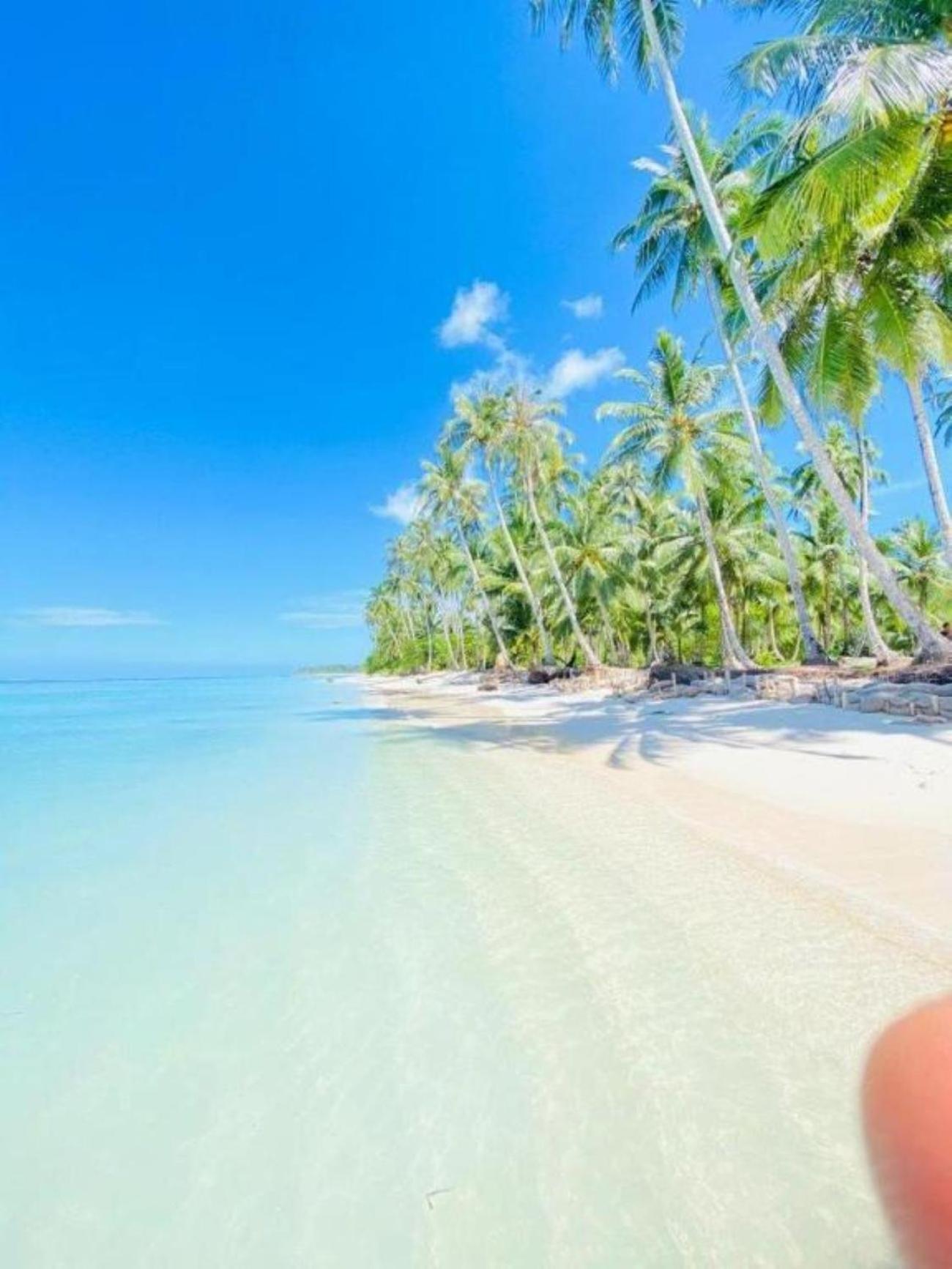 Nasara Resort Mentawai Tua Pejat Eksteriør billede