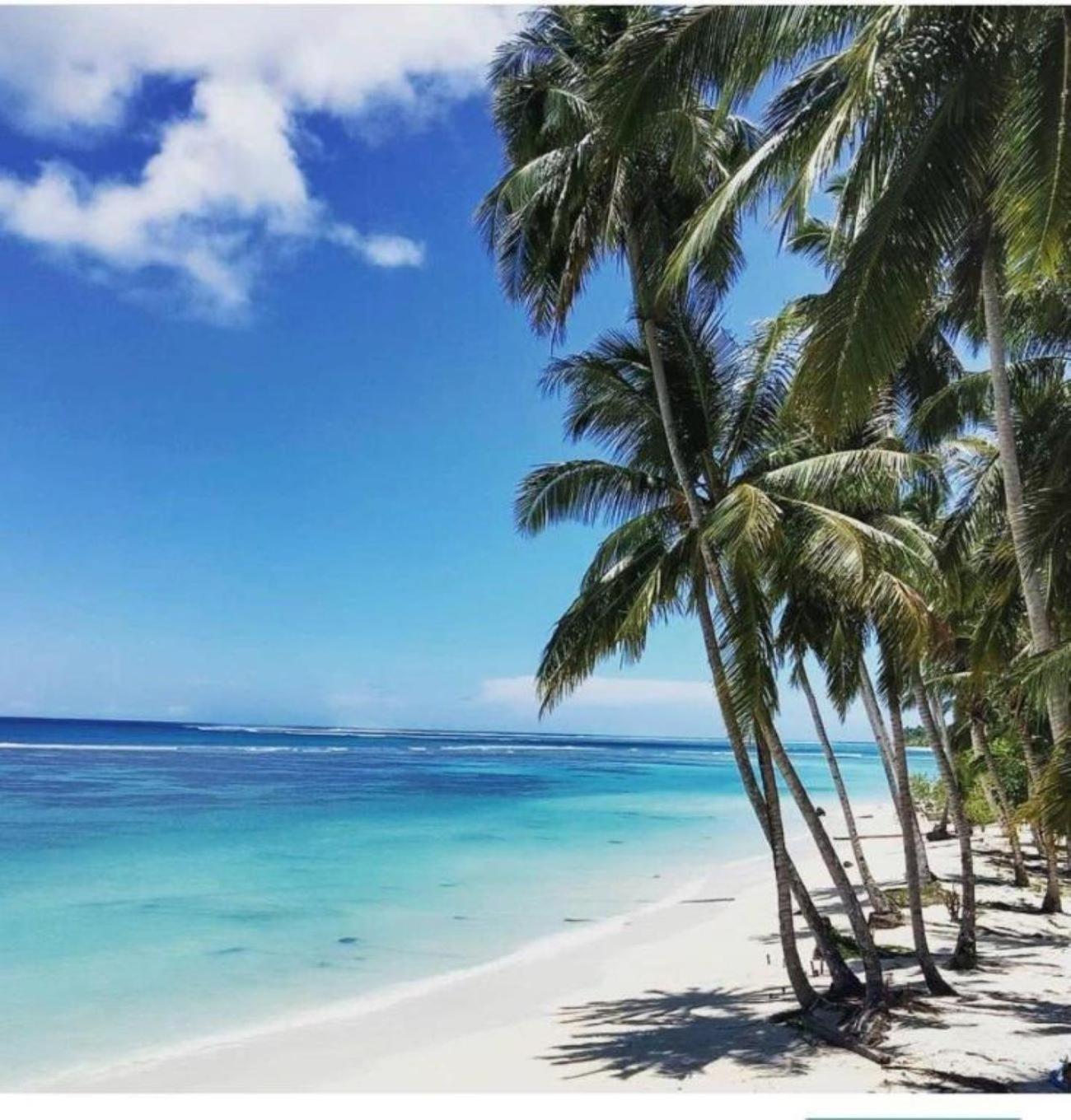 Nasara Resort Mentawai Tua Pejat Eksteriør billede